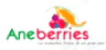 Aneberries
